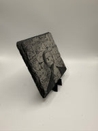 ONE PIECE [ZORO] #02